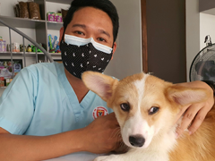 male veterinarian with dog